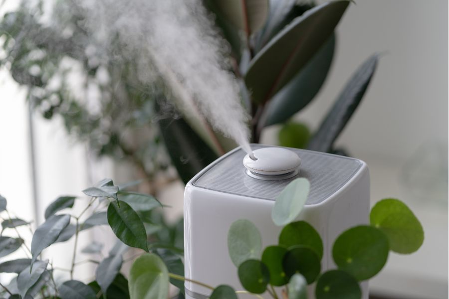 Can You Have a Diffuser and Humidifier?